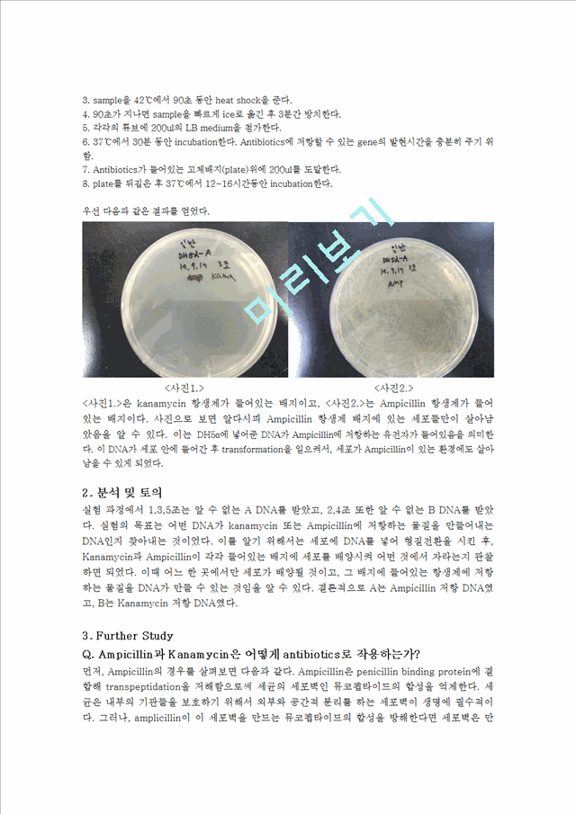 [자연과학] 생물학 실험 - 박테리아 유전 형질전환(genetics transformation).hwp